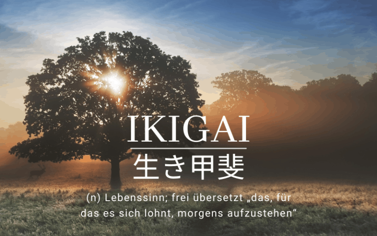 Ist Ikigai überbewertet? Punkte über die niemand redet